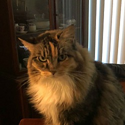 Photo of Sophie