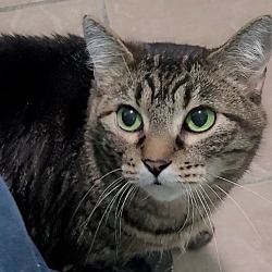 Photo of Izzabella