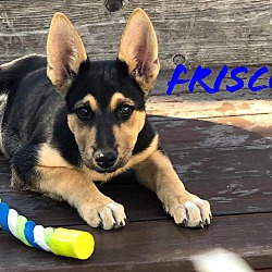Photo of Frisco
