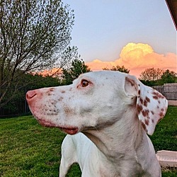 Photo of Lola