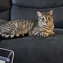 Photo of Jody