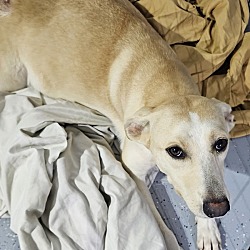 Photo of Jenny