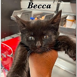 Photo of Becca