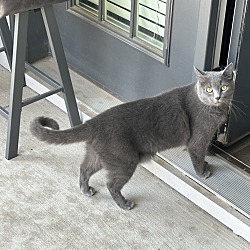 Photo of Simon