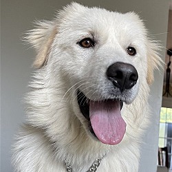 Photo of Tundra 2815