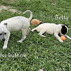 Thumbnail photo of Betty #2