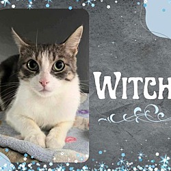 Thumbnail photo of Witchy #1