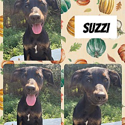 Photo of Suzzi