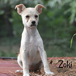 Thumbnail photo of Zoki ~ meet me! #1