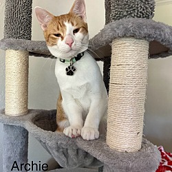 Photo of Archie