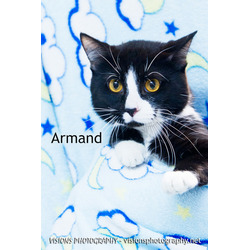 Photo of Armand