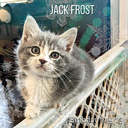 Photo of Jack Frost