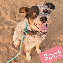 Thumbnail photo of Spot #2