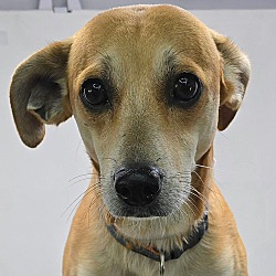 Edgar