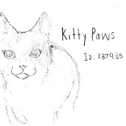 Thumbnail photo of Kitty Paws #2