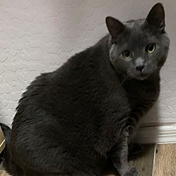 Photo of Tom