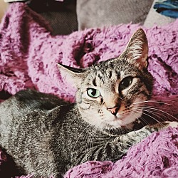 Photo of Willow
