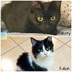 Thumbnail photo of Eden & Emory #3