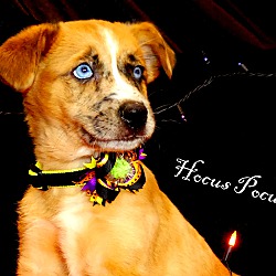 Thumbnail photo of Hocus Pocus ~ meet me! #3