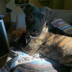 Photo of Astrid