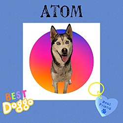Thumbnail photo of Atom #1