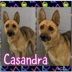 Photo of CASANDRA