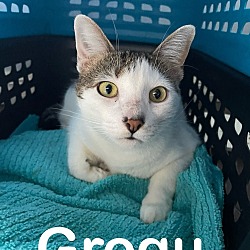 Thumbnail photo of Grogu (Nabisco) #2