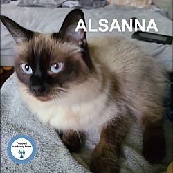 Photo of Alsanna