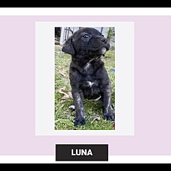 Photo of Luna2 meet 5/10