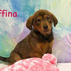 Thumbnail photo of Rufina #1