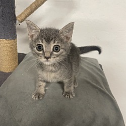 Photo of Clementine