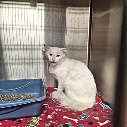Photo of Ghost