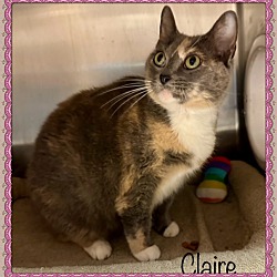 Thumbnail photo of CLAIRE #4