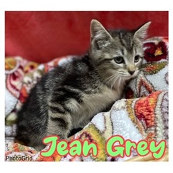 Photo of Jean Grey