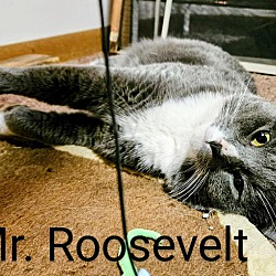 Photo of Mr. Roosevelt