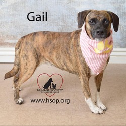 Thumbnail photo of Gail #2