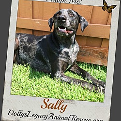 Thumbnail photo of SALLY #1