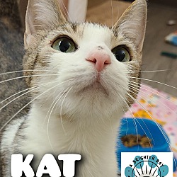 Photo of Kat