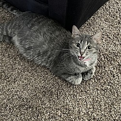 Photo of Lulu