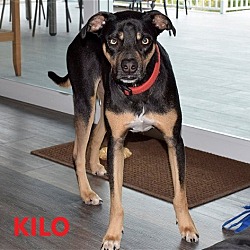 Thumbnail photo of Kilo #4