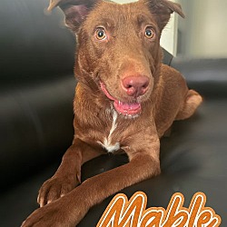 Thumbnail photo of Mable #1