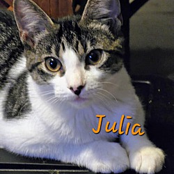 Thumbnail photo of Julia #4