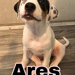 Thumbnail photo of Ares #3