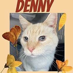 Photo of Denny