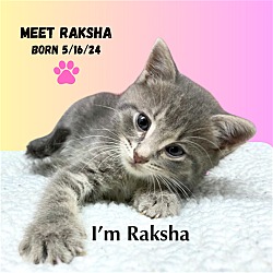 Photo of CAT-ZF4 RAKSHA