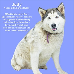 Photo of Judy - NEW