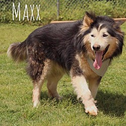 Thumbnail photo of Maxx #2