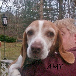 Thumbnail photo of AMY #2