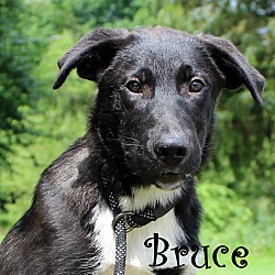 Thumbnail photo of Bruce ~ meet me! #3