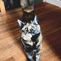 Photo of Natasha